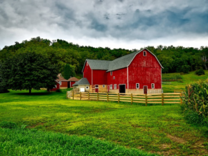 Read more about the article Diversifying Farms into On-Farm Commercial Ventures – Tax Implications